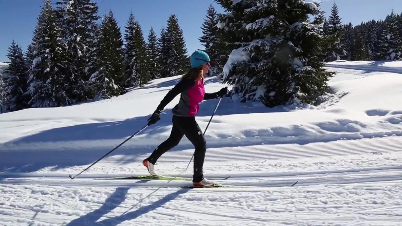Naturae Lodge Wellness & Spa Alleghe Eksteriør bilde