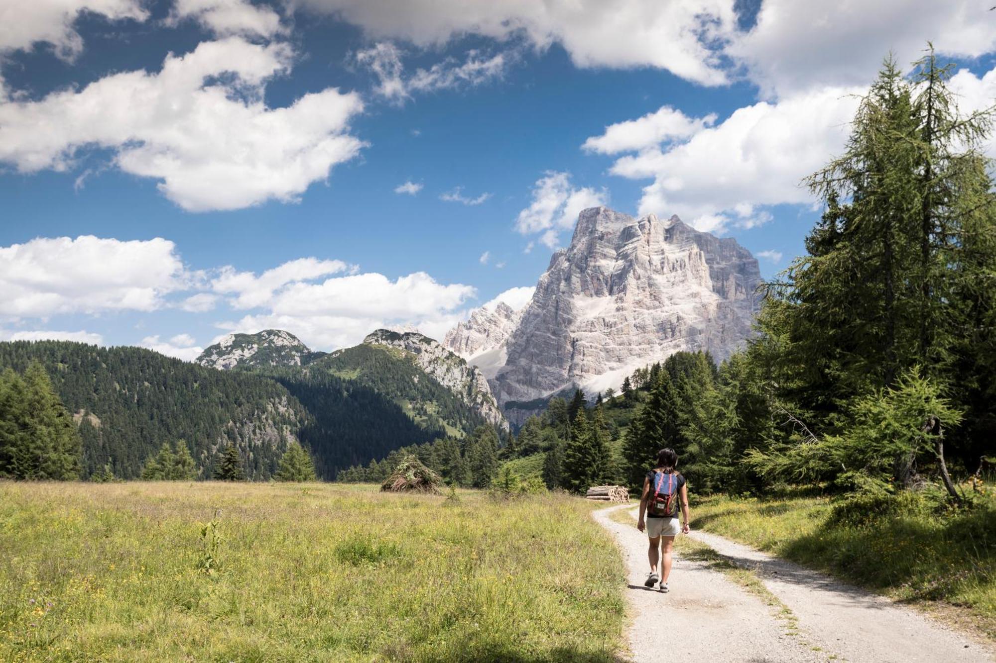 Naturae Lodge Wellness & Spa Alleghe Eksteriør bilde