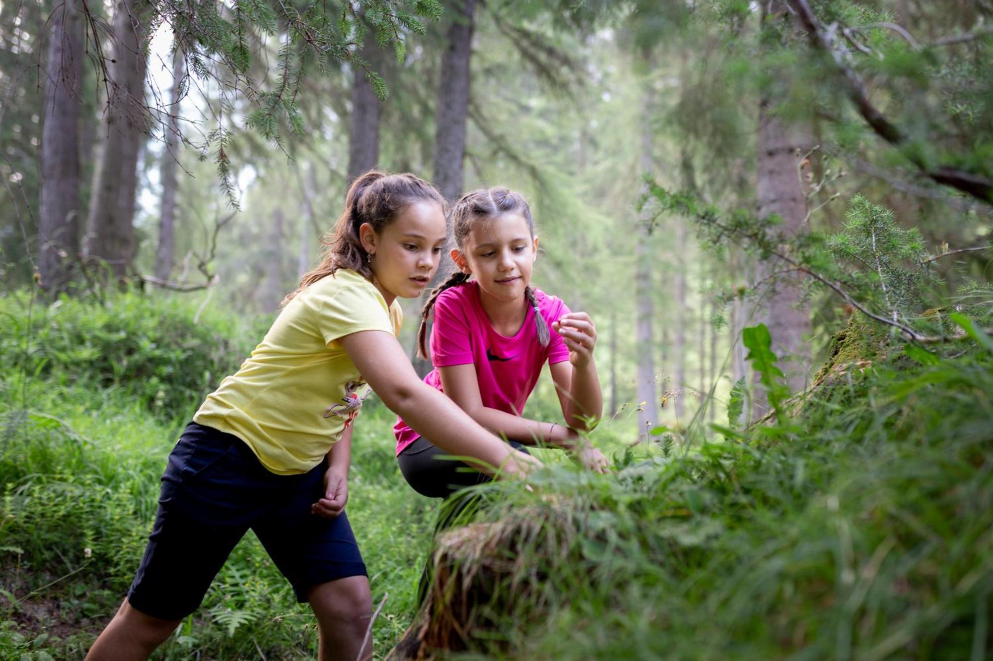 Naturae Lodge Wellness & Spa Alleghe Eksteriør bilde
